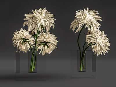 Transparent Square Vases With White Large Blooms Green Stems On Gray Background 3d model