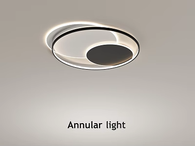 Modern Annular Ceiling Light Sleek Design For Living Room Bedroom Lighting 3d model