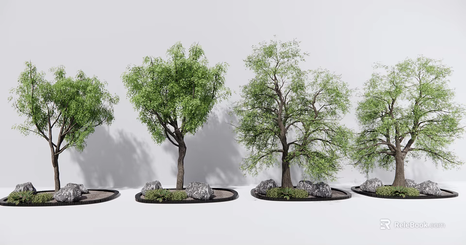 Four Arbor Trees With Stones And Small Plants On Gray Background Landscape Design 3d model 