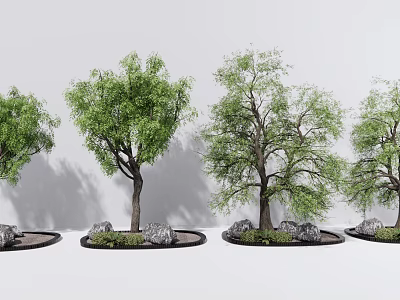 Four Arbor Trees With Stones And Small Plants On Gray Background Landscape Design 3d model