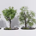 Modern Tree Landscape Tree Pond Old Tree Big Tree 3d model