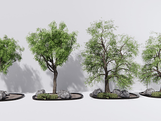 Modern Tree Landscape Tree Pond Old Tree Big Tree 3d model