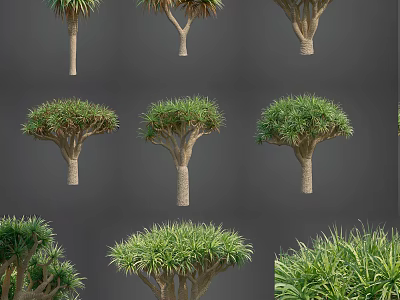 Arborescent Trees In Various Forms Showcasing Lush Foliage And Unique Trunks 3d model