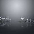 Various Sizes White Deer Figurines With Antlers And Wings On Reflective Surface