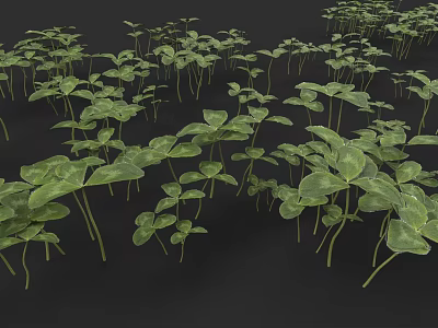 natural plant clover land vegetation 3d model natural plant clover land vegetation 3d model