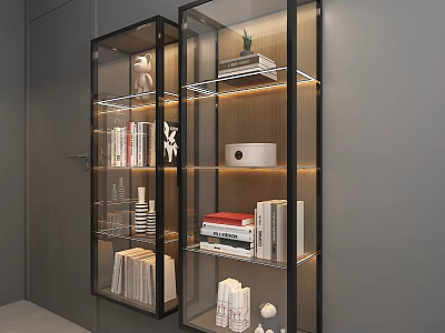 Modern Glass Door Storage Cabinet With LED Lighting And Shelves For Books Decor 3d model