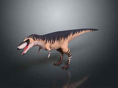 Realistic 3D Dinosaur Model In Standing Pose With Open Mouth And Gray Background Reflection 3d model