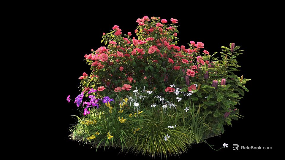 Vibrant Garden Shrub Featuring Pink Purple White Blooms And Lush Green Foliage 3d model 