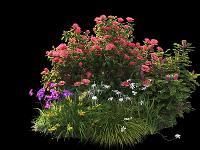 Vibrant Garden Shrub Featuring Pink Purple White Blooms And Lush Green Foliage 3d model