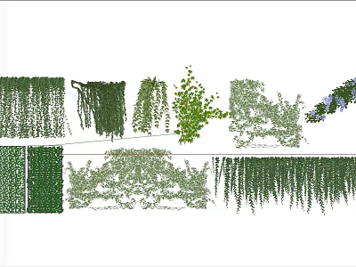 Diverse Vines Varieties For Hanging Climbing And Decorative Greenery Design 3d model