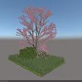 Outdoor Plant Combination Featuring Pink Flowering Tree with Green Shrubs and Low Green Plants