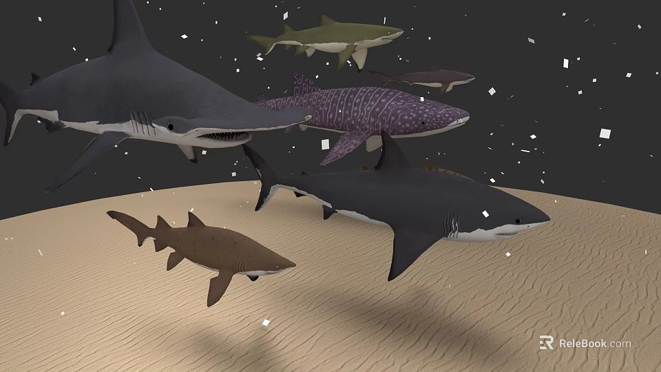 Various Types of Sharks Swimming Over Sandy Ocean Floor With Floating Particles 3d model 