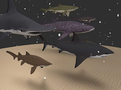 Various Types of Sharks Swimming Over Sandy Ocean Floor With Floating Particles 3d model