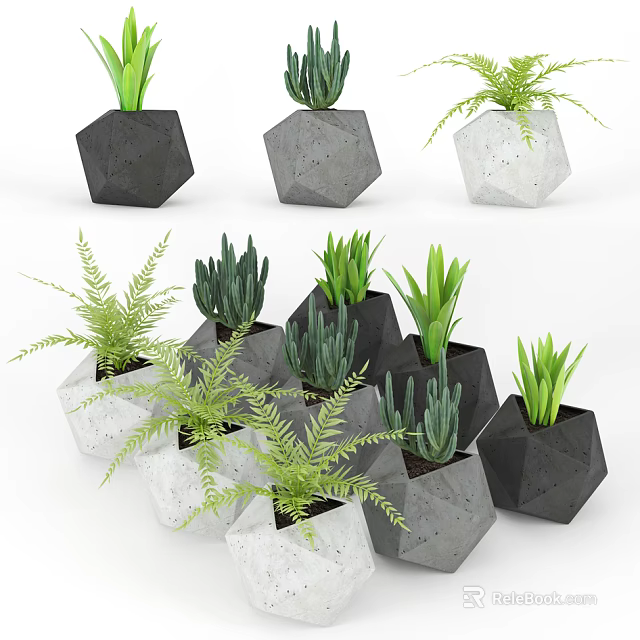 Bonsai Potted Plants In Geometric Black Grey White Planters With Green Foliage 3d model 