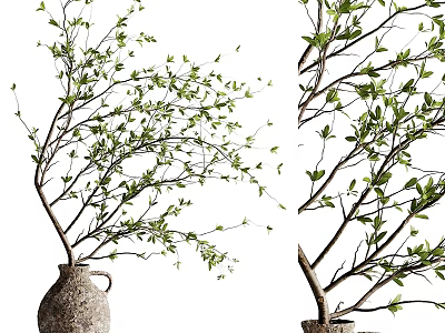 Natural Style Decorative Ornament Set with Green Branches and Clay Pots 3d model