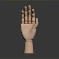 Wooden Hand Model With Poseable Fingers And Smooth Natural Finish