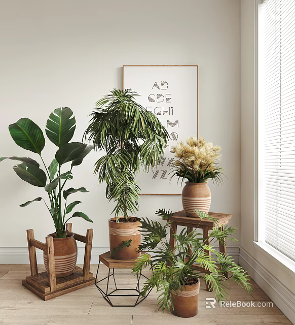 Indoor Potted Plants With Large Leaves Palm Dried Flowers In Terracotta Pots On Wooden Stands 3d model 