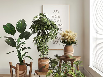 Indoor Potted Plants With Large Leaves Palm Dried Flowers In Terracotta Pots On Wooden Stands 3d model