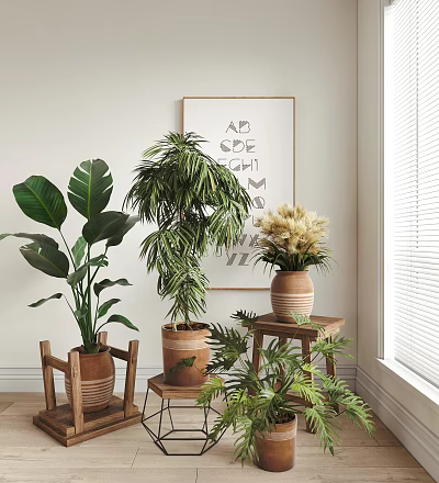 Indoor Potted Plants With Large Leaves Palm Dried Flowers In Terracotta Pots On Wooden Stands 3d model