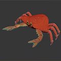 Orange Crab Figurine With Large Claws And Segmented Legs On Dark Surface