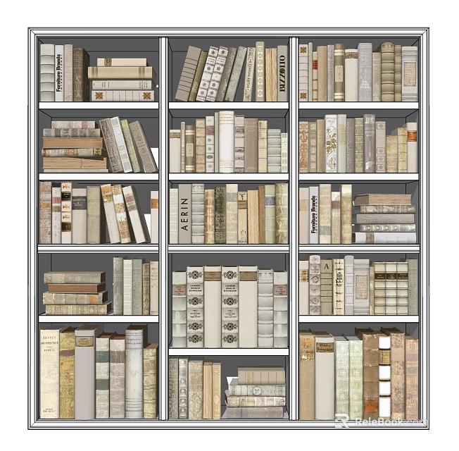 Neatly Organized Bookshelf With Multiple Shelves Showcasing Assorted Books Collection 3d model 