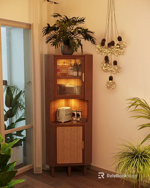 Wooden Display Cabinet With Potted Plant Decorative Pendant Lights Toaster Rattan Door And Small Items 3d model 