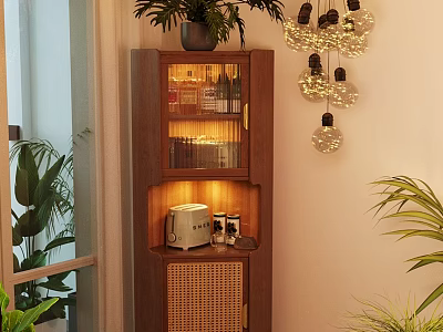 Wooden Display Cabinet With Potted Plant Decorative Pendant Lights Toaster Rattan Door And Small Items 3d model