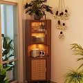Wooden Display Cabinet With Potted Plant Decorative Pendant Lights Toaster Rattan Door And Small Items