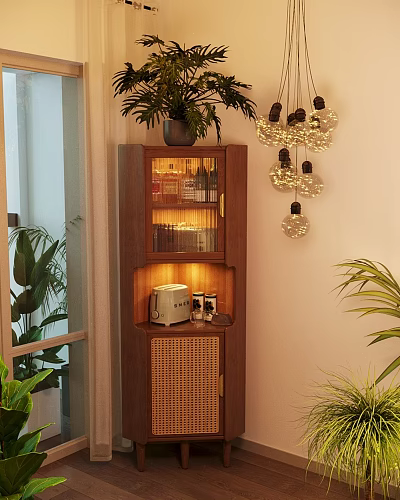 Wooden Display Cabinet With Potted Plant Decorative Pendant Lights Toaster Rattan Door And Small Items 3d model