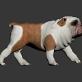 Brown And White Bulldog Stuffed Toy With Realistic Design And Lifelike Features