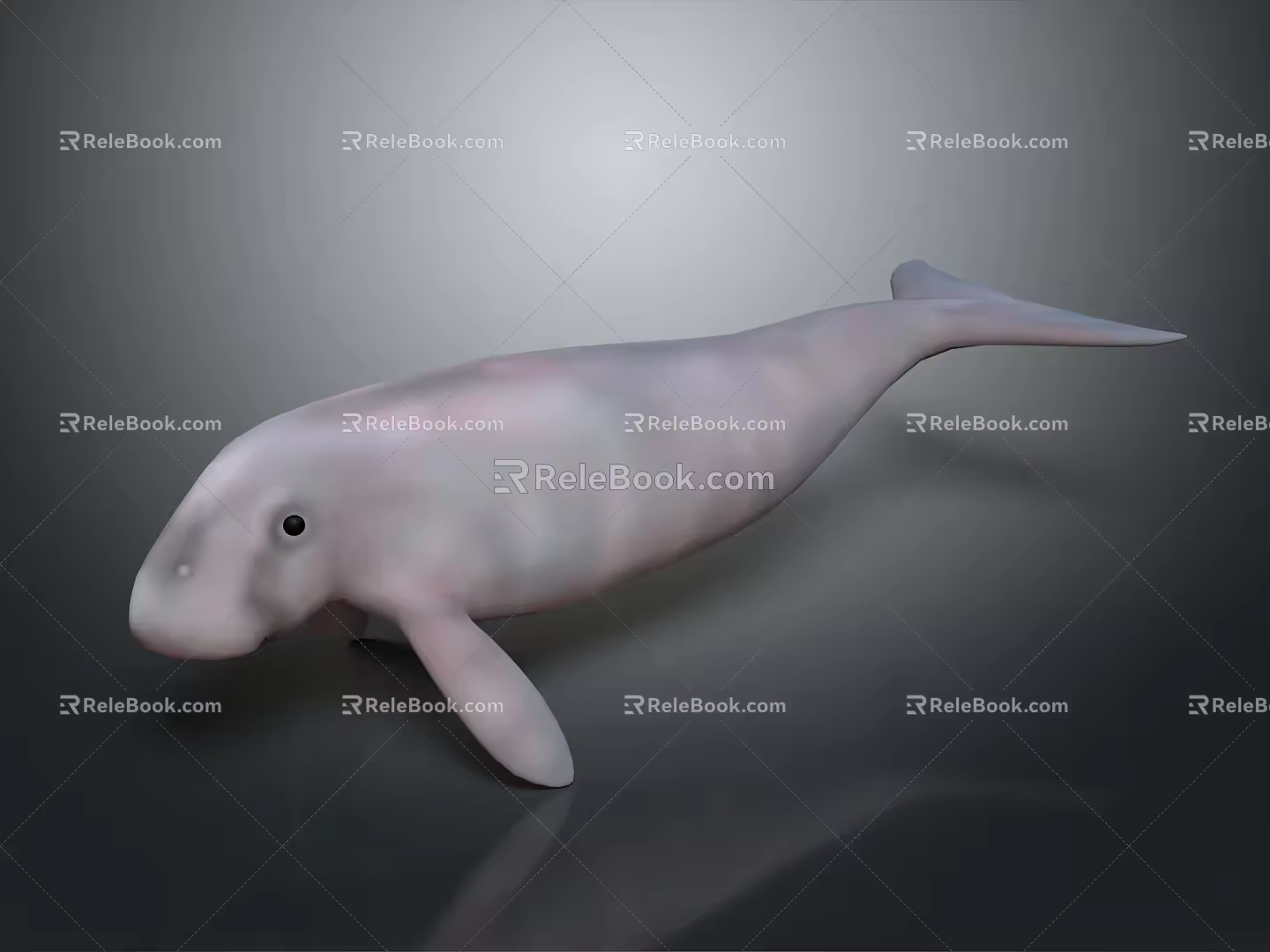 Spotting Dolphin Cartoon Dolphin Animation Dolphin Animation Dolphin Animation Character Game Character 3d model