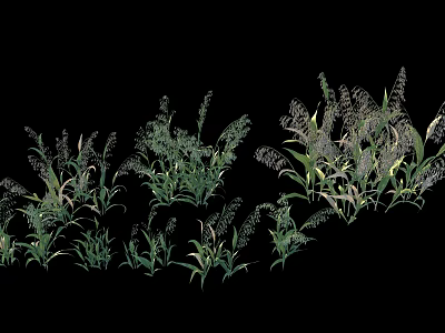 modern crops 3d model