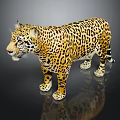 Realistic Jaguar Statue With Yellow Leopard Print Fur Standing On Dark Surface