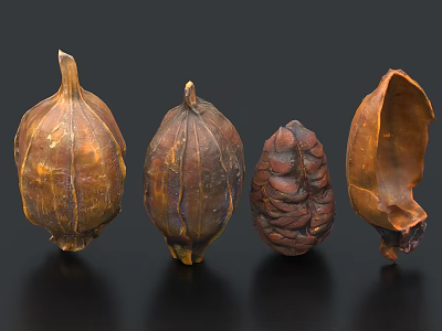 Natural Brown Dried Food Items With Unique Shapes And Textured Surface 3d model