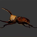 Vibrant Orange And Red Horned Beetle With Long Antennae And Detailed Legs