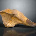 Paleontologist Examining Ancient Dinosaur Fossilized Tooth Specimen With Rough Surface Texture