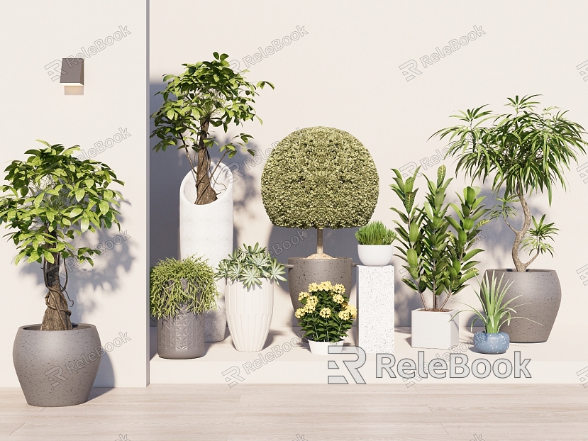 Indoor Potted Landscape Plants Tropical Plants Flower Pot Ornaments Home Plants Green Plants Bonsai Flowers Money Tree model