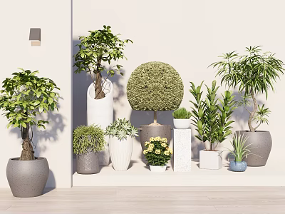 Indoor Potted Landscape Plants Tropical Plants Flower Pot Ornaments Home Plants Green Plants Bonsai Flowers Money Tree 3d model