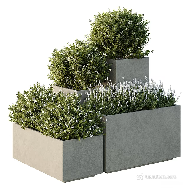 Bonsai Potted Plants in Tiered Concrete Planters with Green Shrubs and Lavender 3d model 