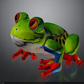 Vibrant Green Frog With Red Eyes Red Feet And Colorful Stripes On Smooth Surface