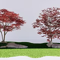 Red Leaf Maple Trees Growing On Green Grass With Stones 3d model