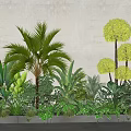 Green Plants Featuring Palm Tree Banana Leaves Round Shrubs Low Greenery White Wall Gray Planter