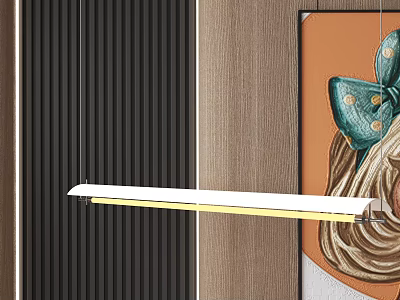 Modern Linear Pendant Light in Contemporary Interior With Wooden Wall And Bow Artwork 3d model