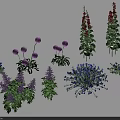Vibrant Garden Flowers and Plants with Purple Spherical Red Columnar Blue Clusters and Green Leaves