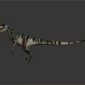 Colorful 3D Rendered Velociraptor in Standing Pose with Open Mouth and Dark Background Reflection