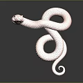 snake cobra venomous snake python reptile cold-blooded animal reptile 3d model