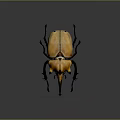 Giant Orange Beetle With Large Horns And Shiny Exoskeleton Isolated On Dark Background