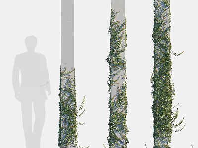 Elegant Decorative Ornament Combination With Natural Vine Covered Columns And Silhouette 3d model