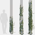 Elegant Decorative Ornament Combination With Natural Vine Covered Columns And Silhouette