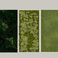 Different Styles of Green Plant Wall Decorative Panels for Indoor Design